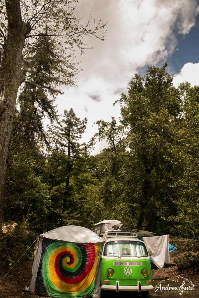 Robyn Hitchcock, Jonathan Richman Join Up With The Mother Hips To Give